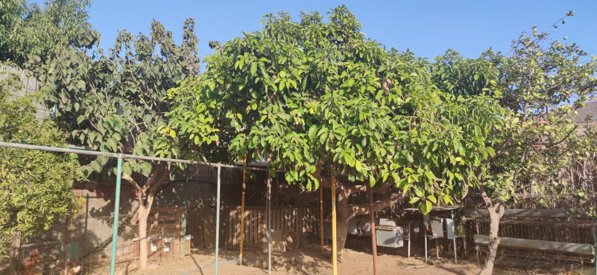 Casita Leos Appartamento
